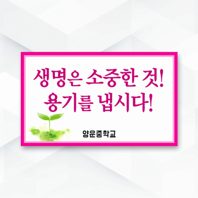 피켓-296