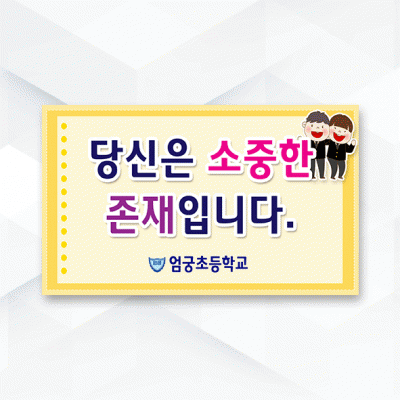 피켓-300
