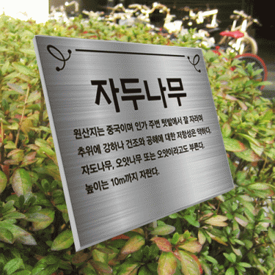 수목-스텐절곡꽂이-ST18