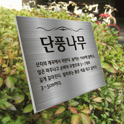 수목-스텐절곡꽂이-ST7