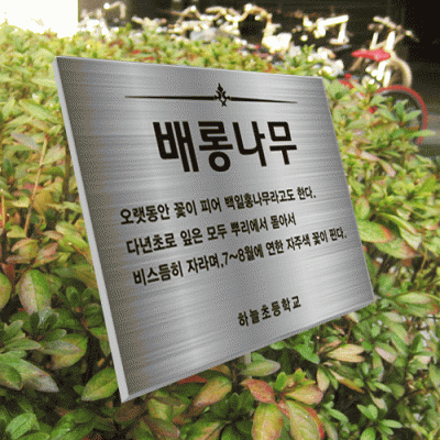 수목-스텐절곡꽂이-ST2