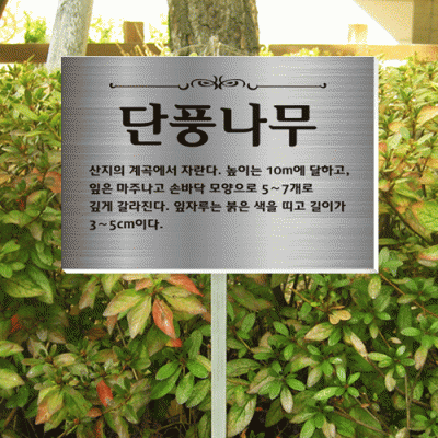 수목-알루미늄꽂이-ST6