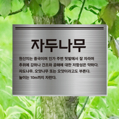 수목-걸이-ST17