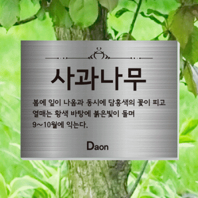 수목-걸이-ST11