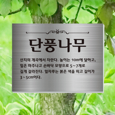 수목-걸이-ST6