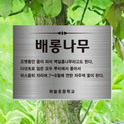 수목-걸이-ST1