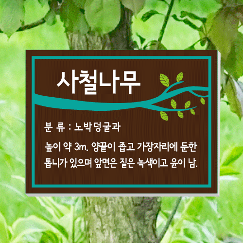 수목-걸이-A1~4