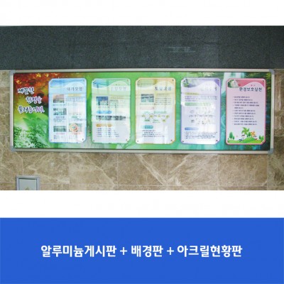 판교초