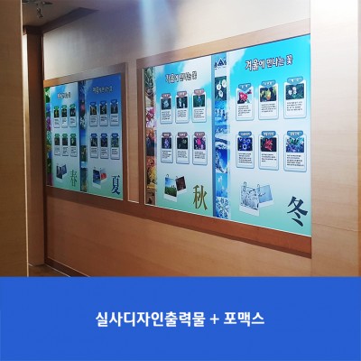 고명초