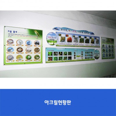 계상초