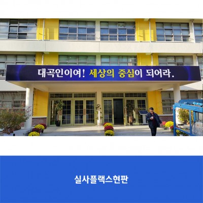 대곡초
