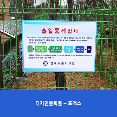 걸포초