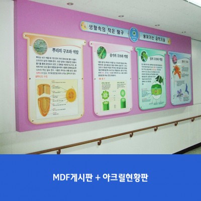 청솔초1