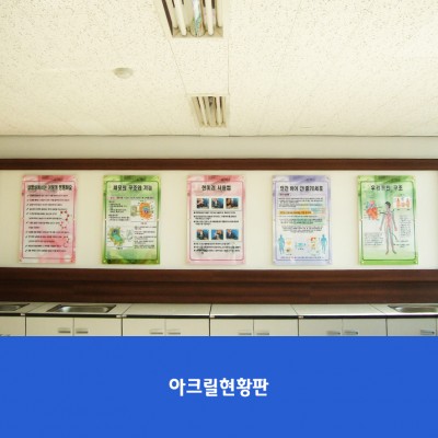 돌마고