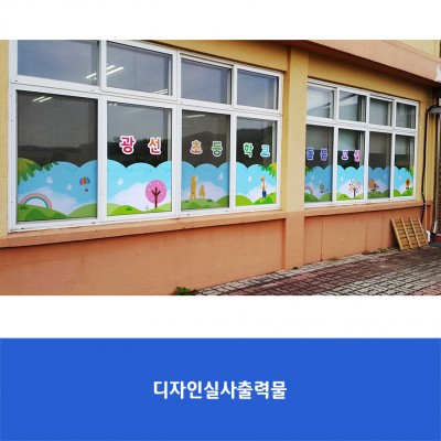 광선초