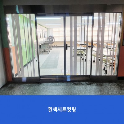 신자초1