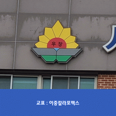 우장초