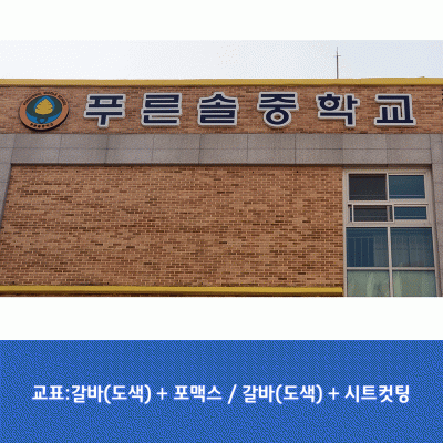 푸른솔중