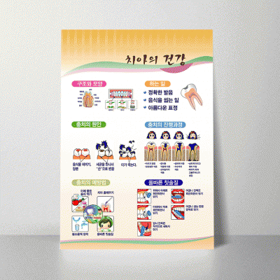 i13.치아의건강