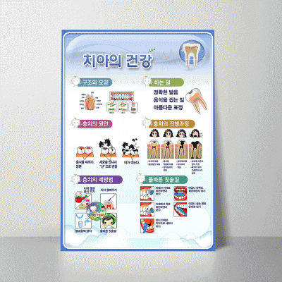 i23.치아의건강2
