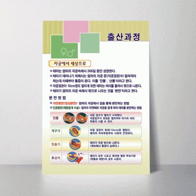 K30.출산과정
