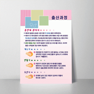 K31.출산과정2