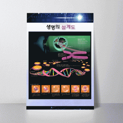 A206.생명의설계도