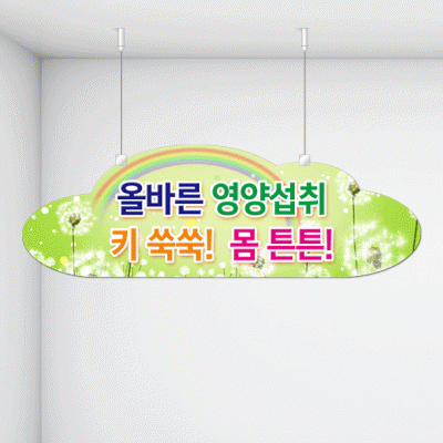 천정행거B27