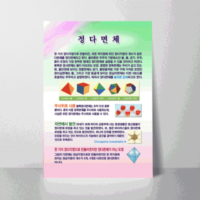 L20.정다면체