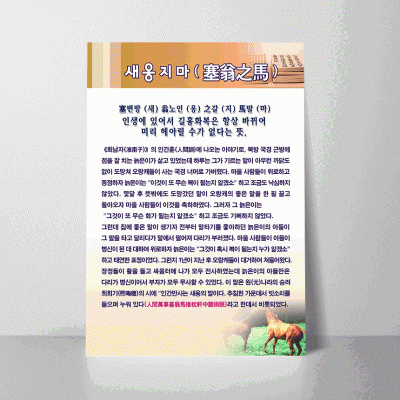 N11.새옹지마