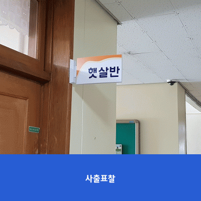 도일초