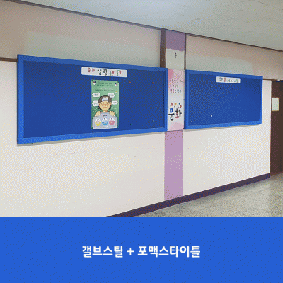 문화초