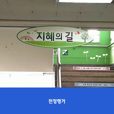 사우초2