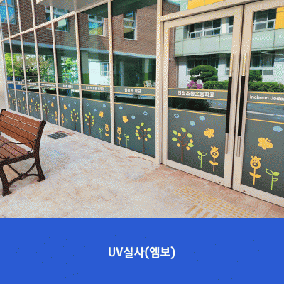 인천조동초5