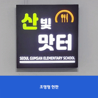 금산초