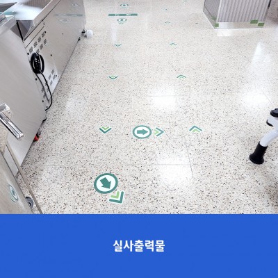 고양초2