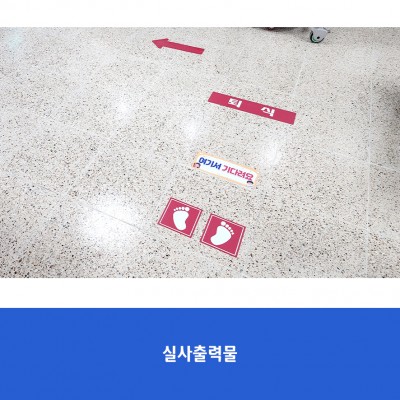 고양초4