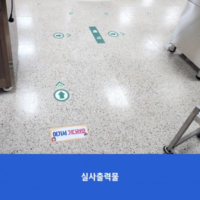 고양초5